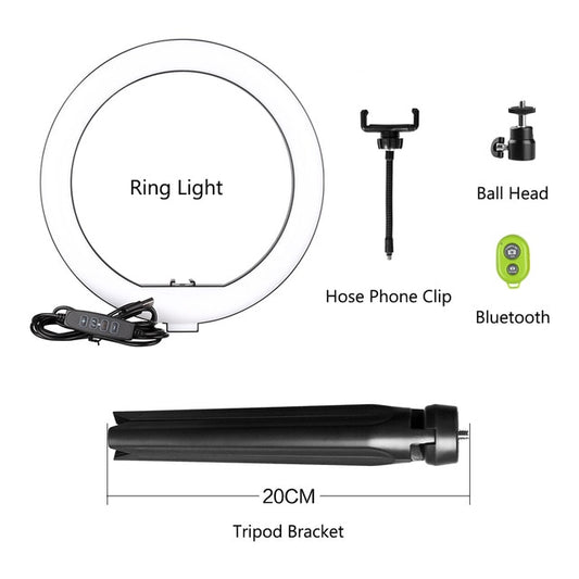 Anillo de luz    Videoconferecias,